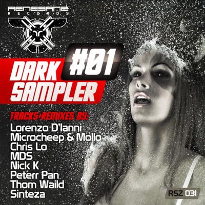 Renesanz Records pres. Dark Sample Vol.1