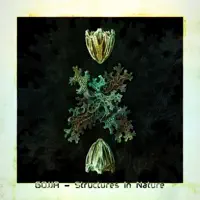 Structures In Nature — Gojja
