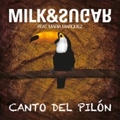 Canto del Pilón (feat. Maria Marquez) artwork