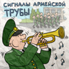 Боевая Тревога! - SKA Band