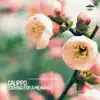 Calippo - 10 Words