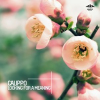 Calippo - 10 Words
