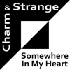 Somewhere In My Heart - Single