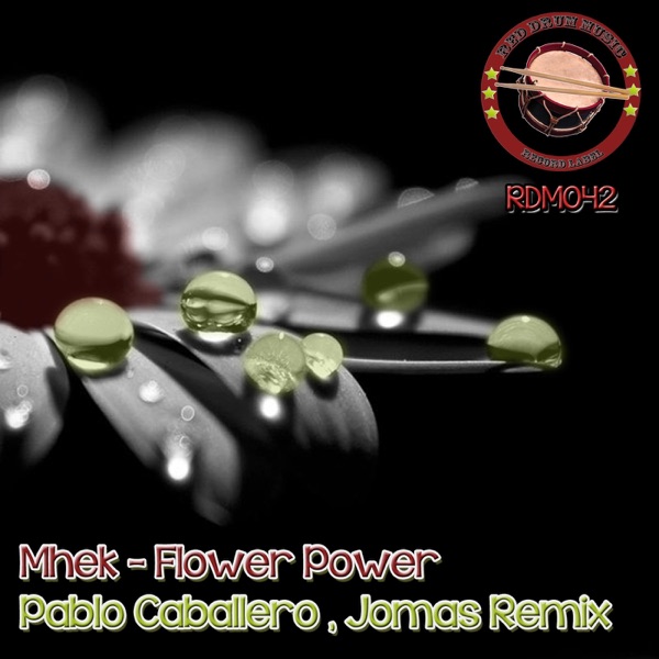 Flower Power - Single