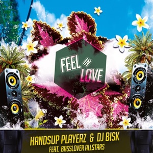 Feel in Love (feat. Basslover Allstars) - EP