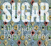 Sugar - Where Diamonds are Halos (The Joke is Always On Us, Sometimes - Live At First Avenue, Minneapolis, Minnesota, 2nd November 1998)