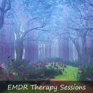 EMDR Therapy Sessions