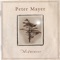 The Houses of Winter - Peter Mayer lyrics