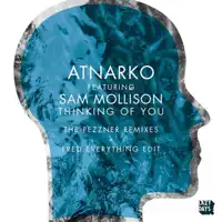 Thinking of You (feat. Sam Mollison) [Pezzner's Remix Fred Everything Re-Do] — Atnarko