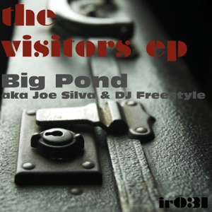 The Visitors