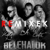 Belehalok (Hamvai P.G. & Roberto Winny Remix) artwork
