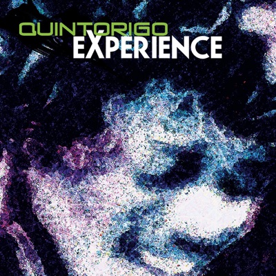 Quintorigo Experience