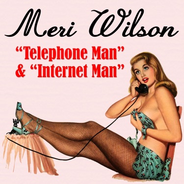 Internet Man - Meri Wilson | Shazam