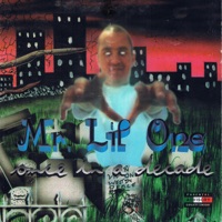 Once In a Decade - Mr. Lil One