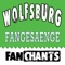 Dzeko - VfL Wolfsburg Fans Songs lyrics