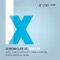 Erosion (Glenn Morrison & Bruce Aisher Remix) - Vibrasphere lyrics