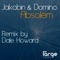 If You Love - Jakobin & Domino lyrics