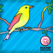 Loon-Bird Call Song-Sound Byte - Sound Affection