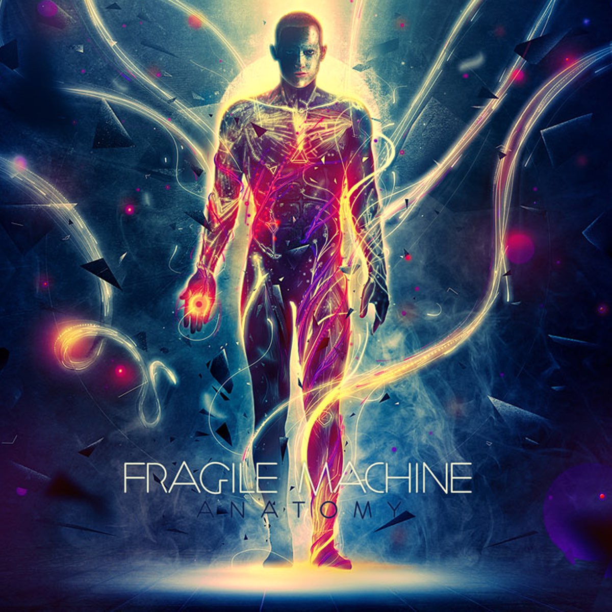 ‎Anatomy - Album by Fragile Machine - Apple Music