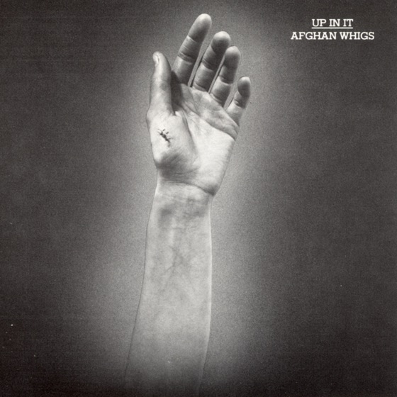 Cover artwork for Sammy