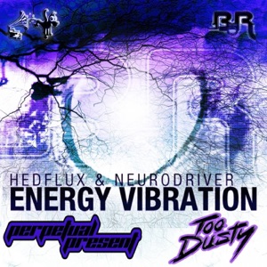 Energy Vibration Remixes - Single