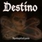 Airenegro - Destino lyrics