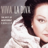 Viva La Diva artwork