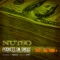 Pockets On Swole (feat. Tony Yayo & Maino) - Nutso lyrics