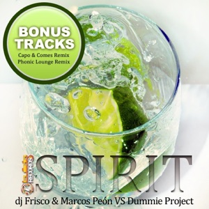 Spirit (Bonus Tracks) - Single