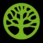 LifeTree Fellowship Podcast cover