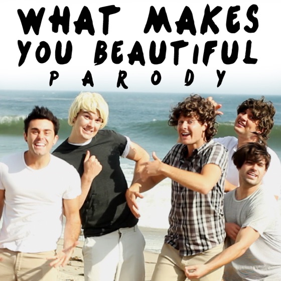 Cover artwork for What Makes You Beautiful Parody