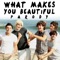 What Makes You Beautiful Parody - Bart Baker lyrics