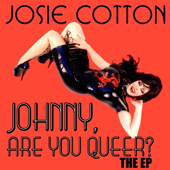 Cover artwork for Johnny Are You Queer