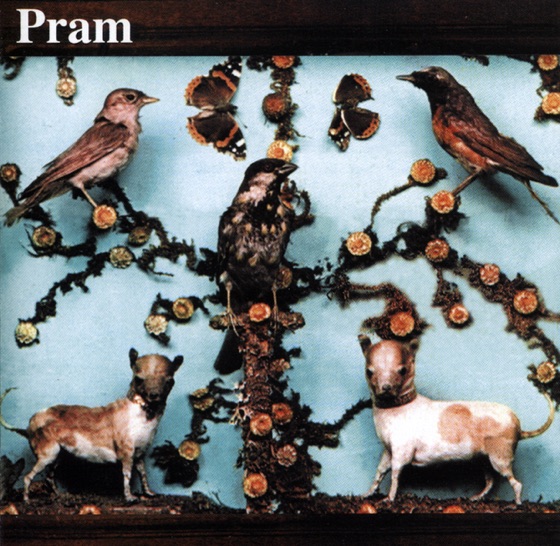 Cover artwork for The Owl Service