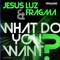 What Do You Want (David Amo & Julio Navas Remix) - Jesus Luz & Fragma lyrics