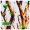 Mystical Escape (John Lord Fonda Vocal Remix) - Dew Town Mayor lyrics