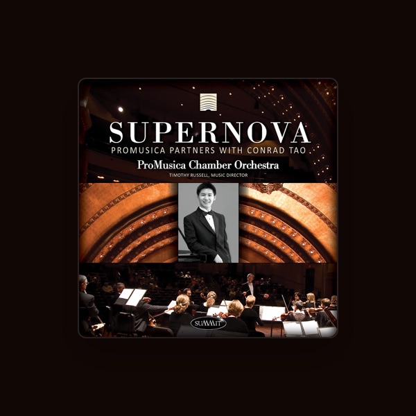 ProMuscia Chamber Orchestra's avatar