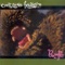 1-2-3-4 - Critters Buggin lyrics