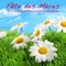 Peaceful Piano (Musique d ambiance) - Musique Piano Dream lyrics