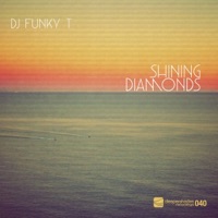 Shining Diamonds - Single - Dj Funky T