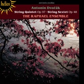 String Quintet in E-Flat Major, Op. 97: I. Allegro non tanto artwork