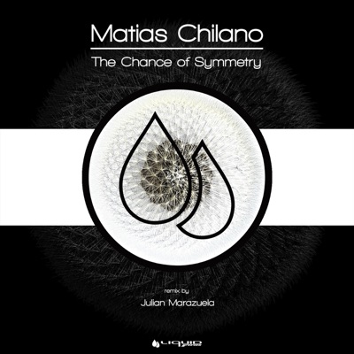 The Chance of Symmetry - Single