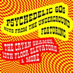 Psychedelic 60s Hits From the Underground featuring the Cryan Shames, 13th Floor Elevators & More