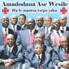 Hale Mpotsa Tsepo Yaka - Amadodana Ase Wesile