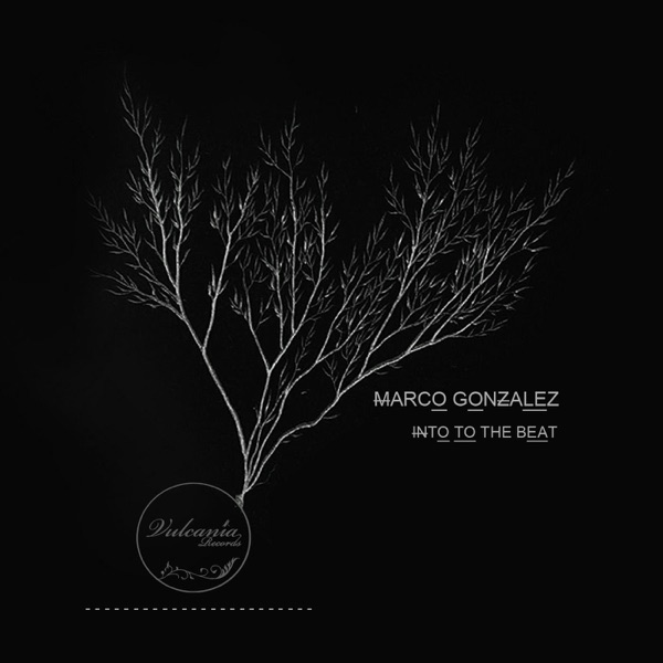 Into To the Beat - Single