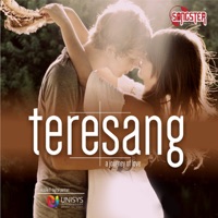 Tere Sang - Single - Amit Sengar