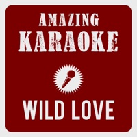 Wild Love (Karaoke Version) [Originally Performed By Rea Garvey] - Single - Amazing Karaoke