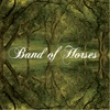 Band of Horses - Funeral