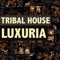 Luxuria - Dj Commander lyrics