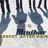 Desert After Rain artwork